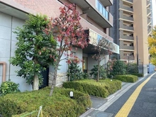 【埼玉県/さいたま市浦和区常盤】ダイアパレス浦和常盤オリヴィエ・ブラン アプローチ