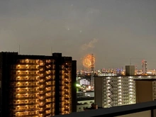 【埼玉県/さいたま市南区根岸】イニシア南浦和根岸 眺望：スカイツリーが望めます。（天候による）
※ズームあり