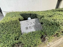 【埼玉県/さいたま市浦和区領家】コスモ浦和領家 マンション表札