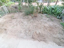 【千葉県/柏市松葉町】コープタウン北柏 専用庭