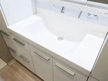 【千葉県/柏市大井】沼南エリカ 10号棟 洗面所