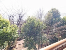 【千葉県/我孫子市白山】パシフィック我孫子グリーンタウン 11号棟 眺望