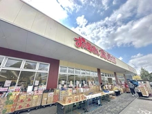 【千葉県/柏市中十余二】プレシス柏の葉キャンパス おっ母さん食品館 柏の葉キャンパス店（現地より約190m）