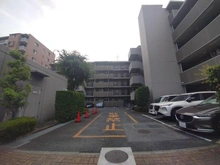 【埼玉県/草加市松原】モア・ステージ草加松原 駐車場