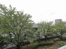 【千葉県/松戸市三ケ月】新松戸ガーデニア 眺望