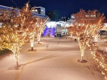 【千葉県/流山市おおたかの森南】ザ・フォレストレジデンスブライトリーフ  流山おおたかの森駅前広場（南口）（現地より約250m）：