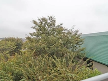 【千葉県/柏市豊四季】モア・ステージ南柏 眺望