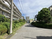 【千葉県/松戸市新松戸】サンライトパストラル参番街 B棟 前面道路