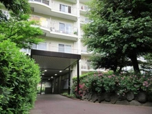 【千葉県/松戸市新松戸】サンライトパストラル弐番街 D棟 エントランス