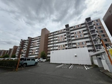 【千葉県/松戸市新松戸北】新松戸ファミールハイツ 5号棟 外観