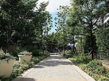 【神奈川県/川崎市中原区上小田中】ザ・クレストシティ センターコート アプローチ