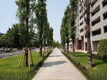 【神奈川県/川崎市中原区上小田中】ザ・クレストシティ センターコート アプローチ