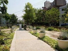 【神奈川県/川崎市中原区上小田中】ザ・クレストシティ センターコート 敷地内