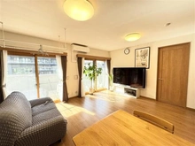 【神奈川県/川崎市幸区中幸町】ナイスアーバンステイツ川崎 LDK