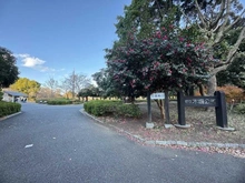 【東京都/江東区木場】プラウドタワー木場公園 都立木場公園（現地より約70m）