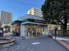 【東京都/江東区大島】イーストパークス大島サザンスクエア ピーコックストア大島店（現地より約400m）：徒歩約5分