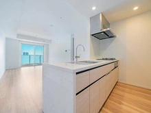 【東京都/中央区晴海】HARUMI FLAG SUN VILLAGE T棟  キッチン：ディスポーザー・食洗機