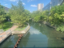 【東京都/江東区千石】プレシス東陽町 横十間川親水公園（現地より約200m）
