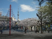 【東京都/墨田区亀沢】ライオンズマンション両国第3 区立緑町公園（現地より約220m）