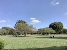 【東京都/江東区三好】ドラゴンマンション木場公園壱番館 都立木場公園（現地より約510m）