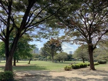 【東京都/江東区三好】ドラゴンマンション木場公園壱番館 都立木場公園（現地より約510m）