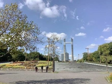 【東京都/江東区三好】ドラゴンマンション木場公園壱番館 都立木場公園（現地より約510m）