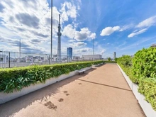 【東京都/墨田区業平】ラヴィアンコート墨田業平 屋上テラス