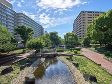 【東京都/江東区南砂】パークハイム東陽町 仙台堀川公園（現地より約240m）