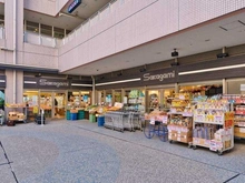 【東京都/江東区豊洲】オーベルグランディオ　ベイ・フロント  スーパーサカガミ　グランルパ豊洲店（現地より約660m）