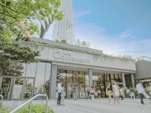 【東京都/墨田区本所】セザール本所吾妻橋 東京ソラマチ（現地より約950m）