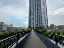 【東京都/江東区豊洲】シティタワーズ豊洲ザ・ツイン ノースタワー 共用部：エントランス以外からも渡れます。植栽は整備されています。