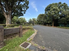 【東京都/江東区千石】プレシス木場公園シーズンプレイス 木場公園（現地より約340m）