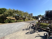 【東京都/江東区千石】プレシス木場公園シーズンプレイス 豊住公園（現地より約450m）