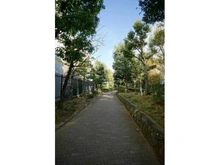 【東京都/江東区東陽】セザールアーバンデュオイースト 洲崎川緑道（現地より約100m）