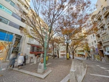 【東京都/港区三田】三田清風ガーデン 麻布十番パティオ（現地より約52m）：