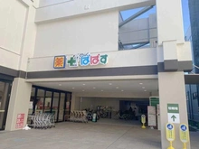 【東京都/板橋区中丸町】日神パレステージ池袋西  どらっぐぱぱす 板橋南町店（現地より約250m）