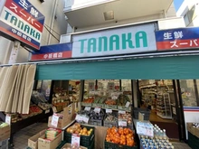 【東京都/板橋区常盤台】ダイアパレス常盤台 スーパーTANAKA　中板橋店（現地より約550m）