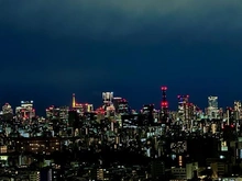 【東京都/豊島区東池袋】エアライズタワー 眺望：ズーム有