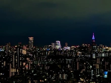 【東京都/豊島区東池袋】エアライズタワー 眺望：ズーム有