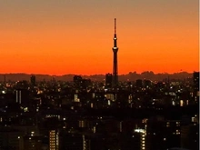 【東京都/豊島区東池袋】エアライズタワー 眺望：ズーム有