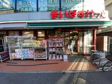 【東京都/板橋区大和町】リビオレゾン板橋本町ステーションサイド まいばすけっと板橋本町北店（現地より約290m）
