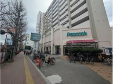 【東京都/豊島区目白】グランドメゾン目白レジデンス ピーコックストア目白店（現地より約230m）