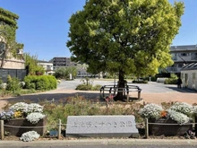 【東京都/豊島区上池袋】プラウドシティ上池袋 上池袋くすの木公園（現地より約330m）