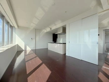 【東京都/豊島区東池袋】アウルタワー LDK