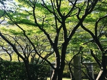 【東京都/板橋区大原町】東京ガーデンフォーラム 敷地内