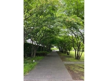 【東京都/板橋区大原町】東京ガーデンフォーラム 敷地内