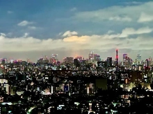 【東京都/豊島区東池袋】エアライズタワー 眺望：ズーム有