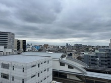 【東京都/豊島区長崎】豊島ハイツ 眺望