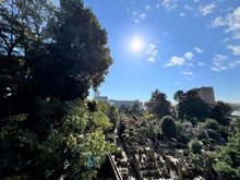 【東京都/文京区大塚】ザ・パークハウス文京護国寺 眺望