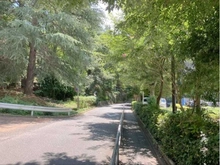 【東京都/板橋区中台】サンシティJ棟 前面道路